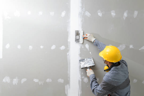 Best Mold Removal for HVAC Installations  in East Pepperell, MA