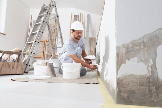 Best Attic Mold Removal  in East Pepperell, MA